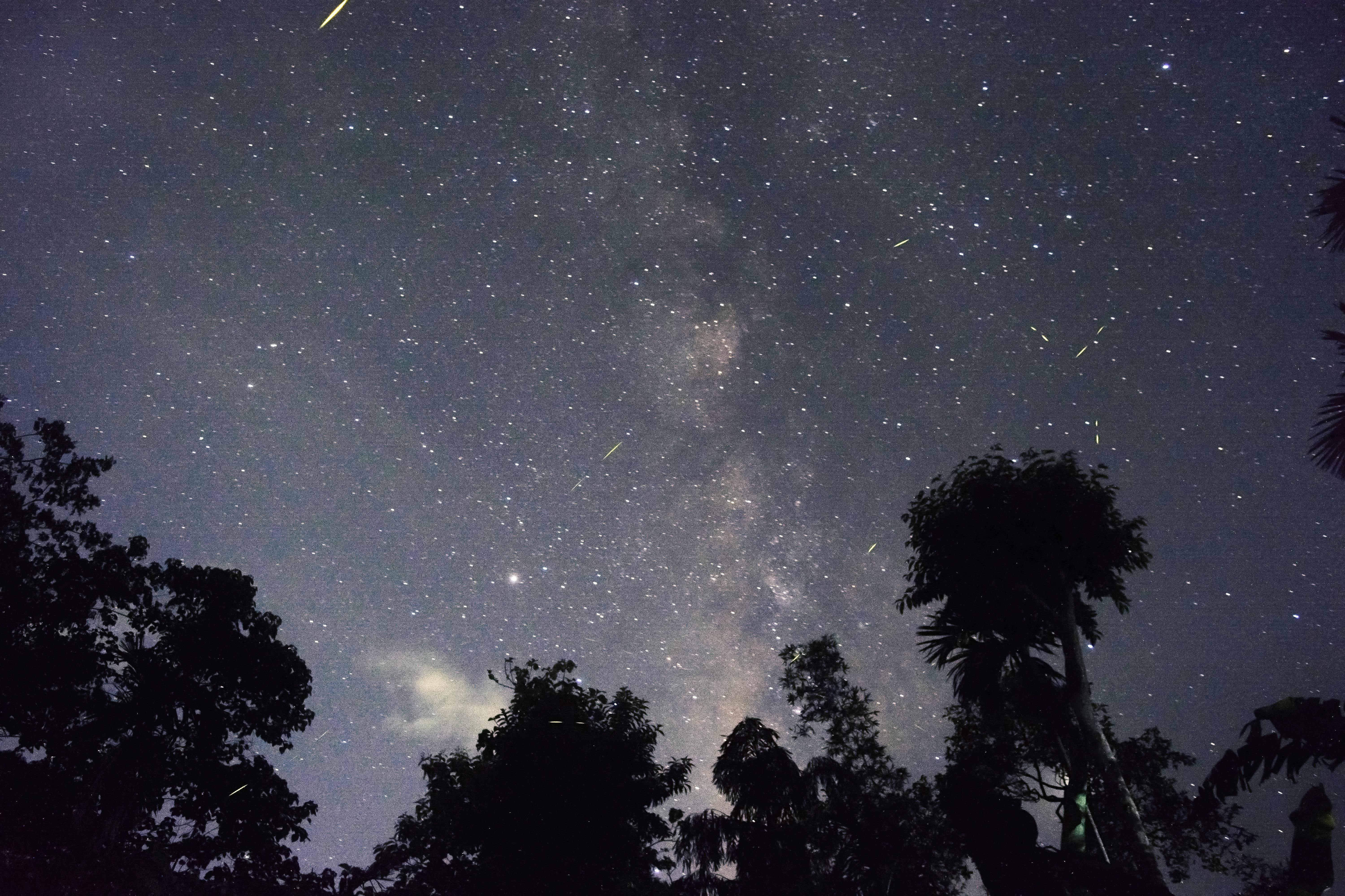 Clear night sky full of stars visible to the naked eye — Rajasthan, 1990s